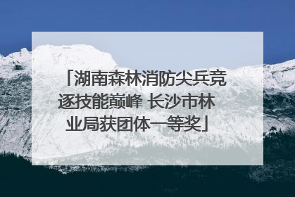 湖南森林消防尖兵竞逐技能巅峰 长沙市林业局获团体一等奖
